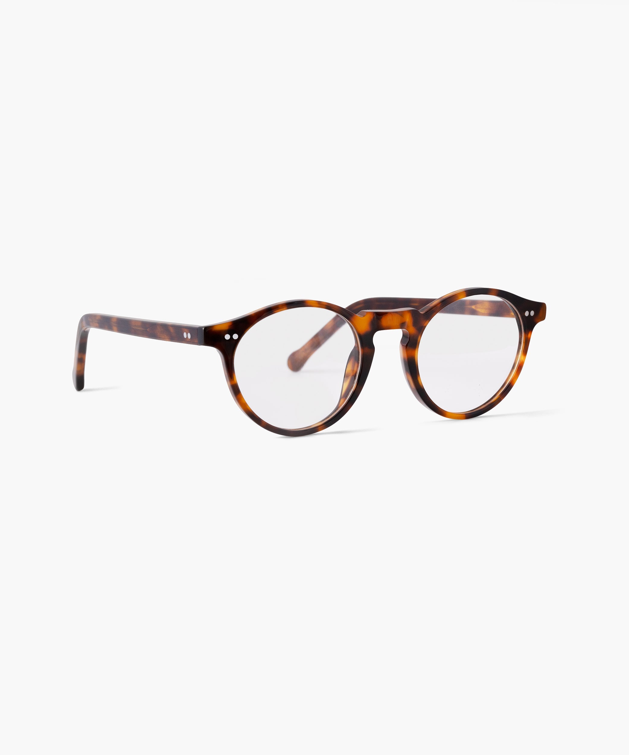 Portofino - Tortoise