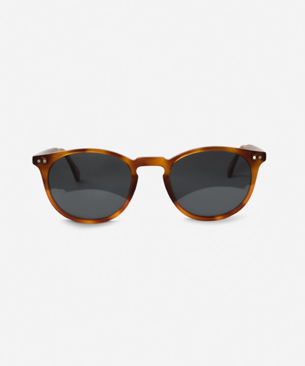 Clifton-Tortoise