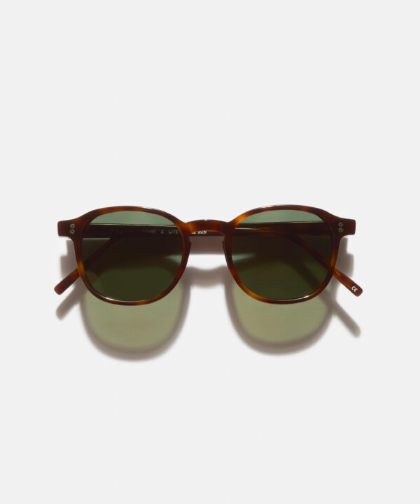 Miami-Tortoise