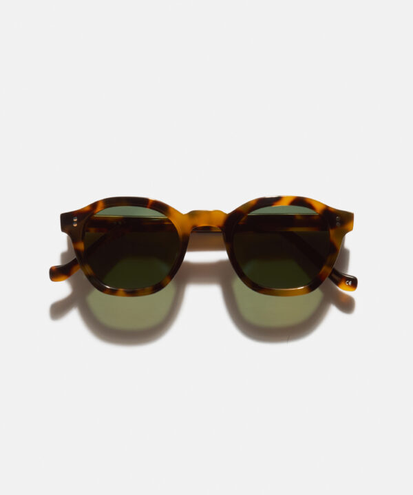 Palma-Tortoise