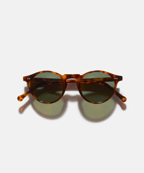 Portofino-Tortoise